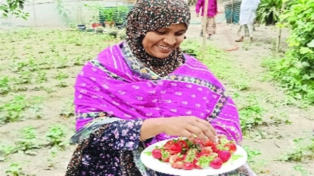 সংগৃহীত