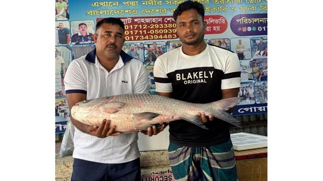 সংগৃহীত