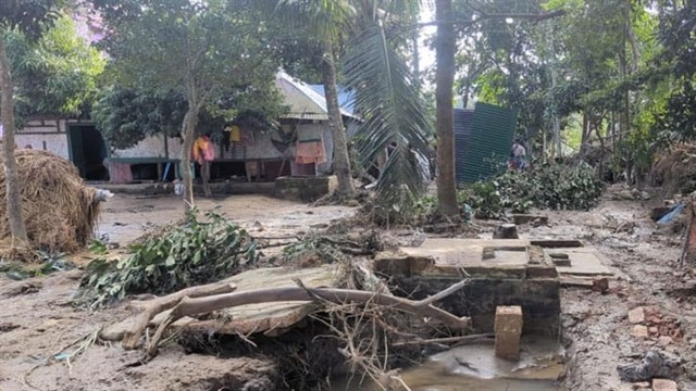 ফাইল ছবি