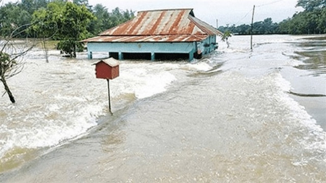 ফাইল ছবি