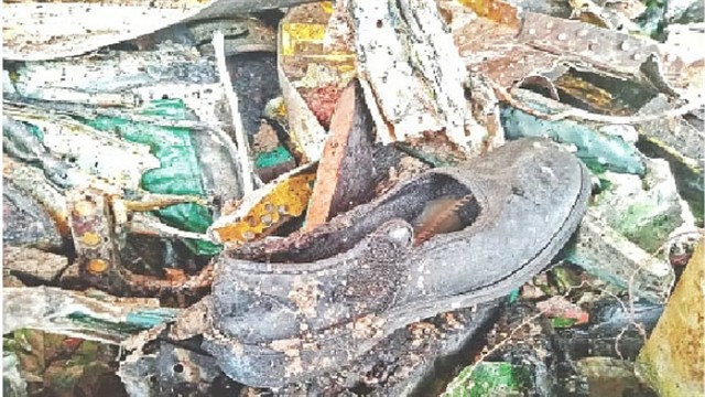 ছবি : সংগৃহীত
