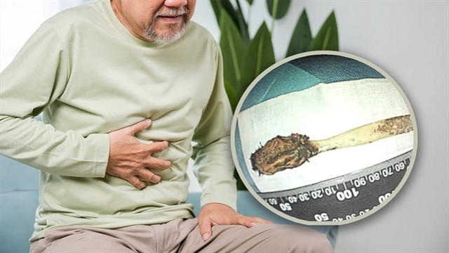 সংগৃহীত