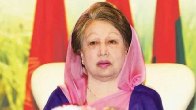 ফাইল ছবি