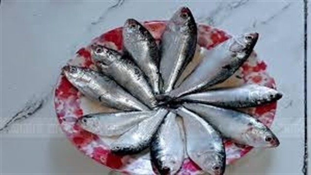 সংগৃহীত