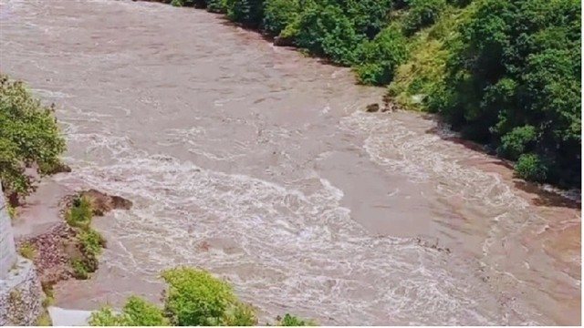 সংগৃহীত