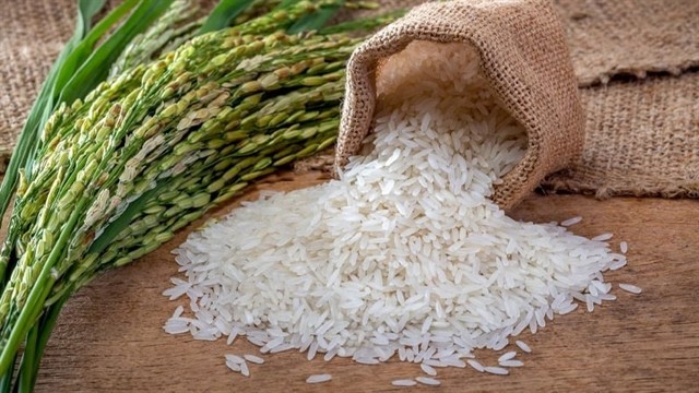 সংগৃহীত