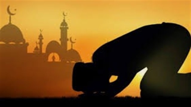 ছবি : গ্রাফিক্স