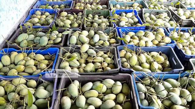 গ্রীষ্ম মৌসুমেই বাংলাদেশ থেকে আম আমদানি করবে চীন