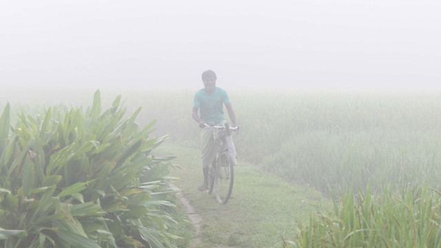 ছবি : সংগৃহীত